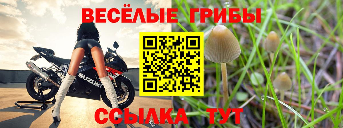 Галлюциногенные грибы Psilocybe  Вход с VPN  Воронеж 